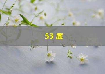 53 度